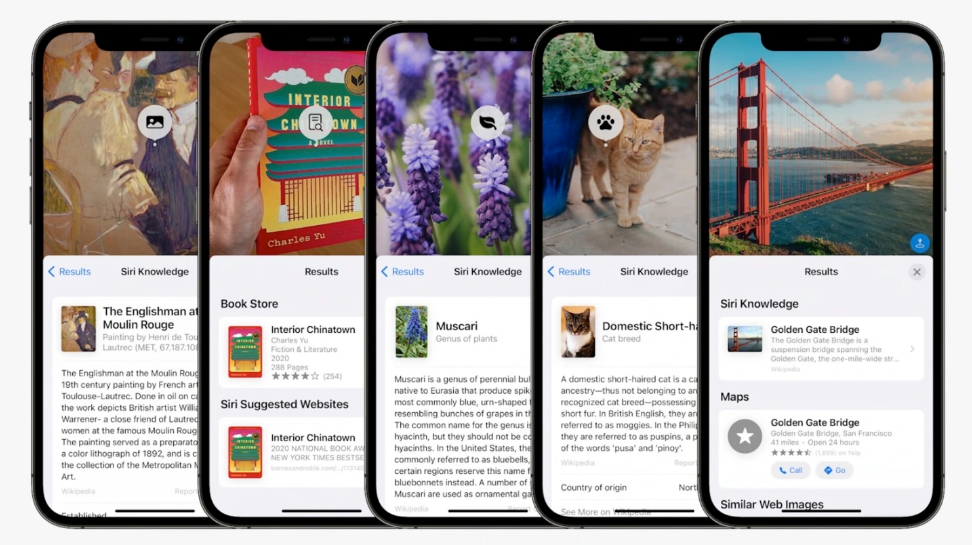Nightmarish iOS 15 bug deletes saved photos from your iPhone