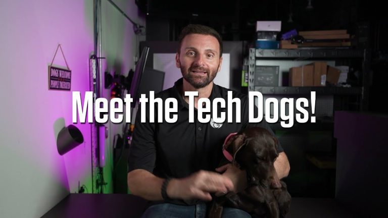 Meet the TechDogs! The Lovely Ms. Chloe Sophia