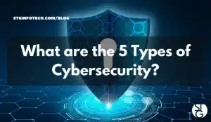 What are the 5 Types of Cybersecurity?